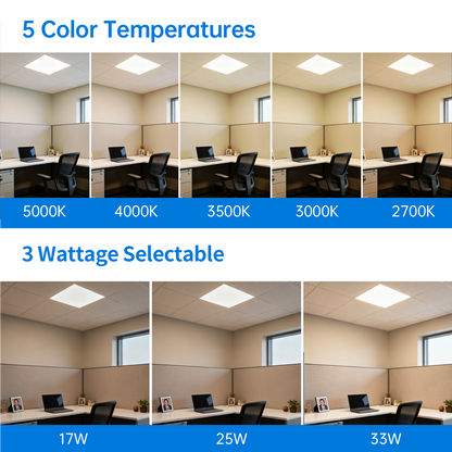 Vito 2x2 LED Flat Panel Light