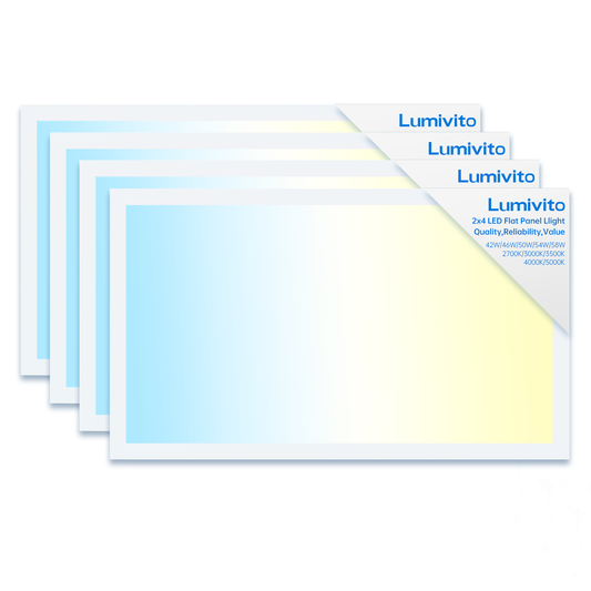 Vito Pro 2x4 LED Flat Panel Light